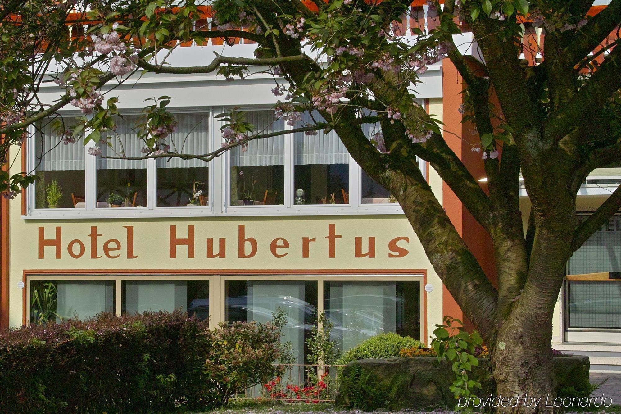 Akzent Hubertus Hotel Bad Peterstal-Griesbach Ngoại thất bức ảnh